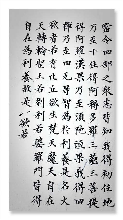 e2c646eb2b9a73ab10cd06fa1566e59